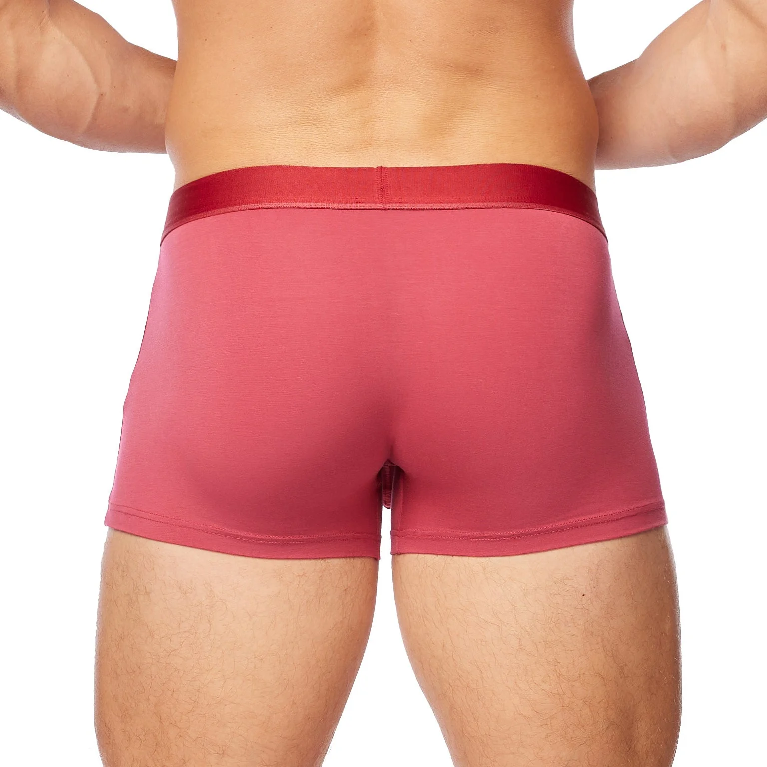 PrimeMan - Boxer Brief 3 inch Leg - Image 33